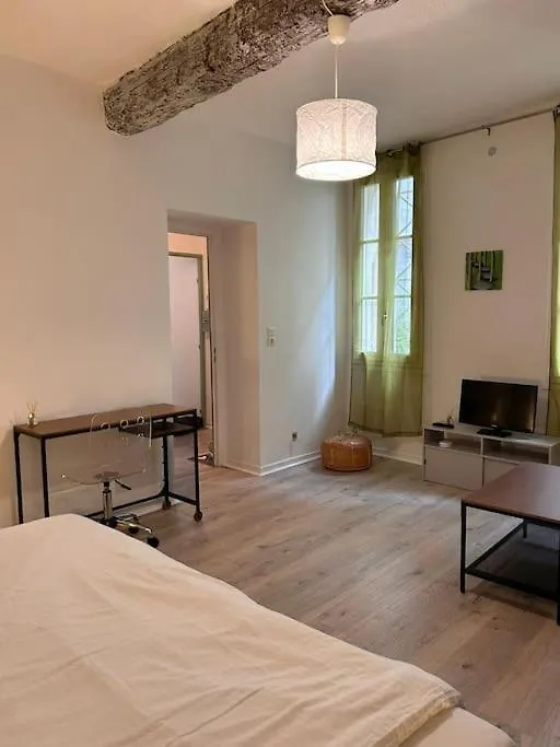 L'Incontournable Apartment Avignon 0*,